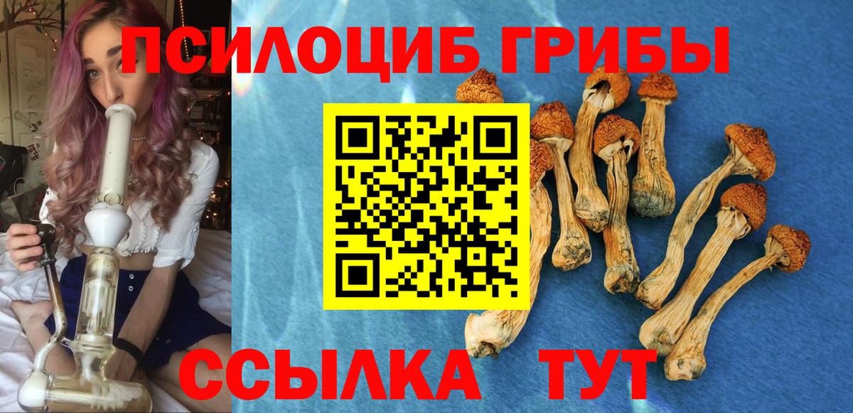 Псилоцибиновые грибы Psilocybine cubensis  Вход с VPN  Новокузнецк 